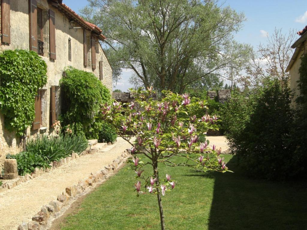 Le Mas D'Anjou Hotel Tigné Buitenkant foto